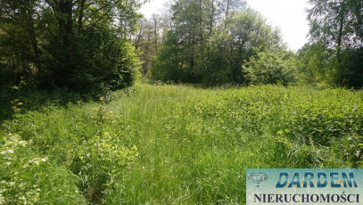 Działka Sprzedaż Narew